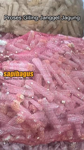 Janggel-Jagung-Giling